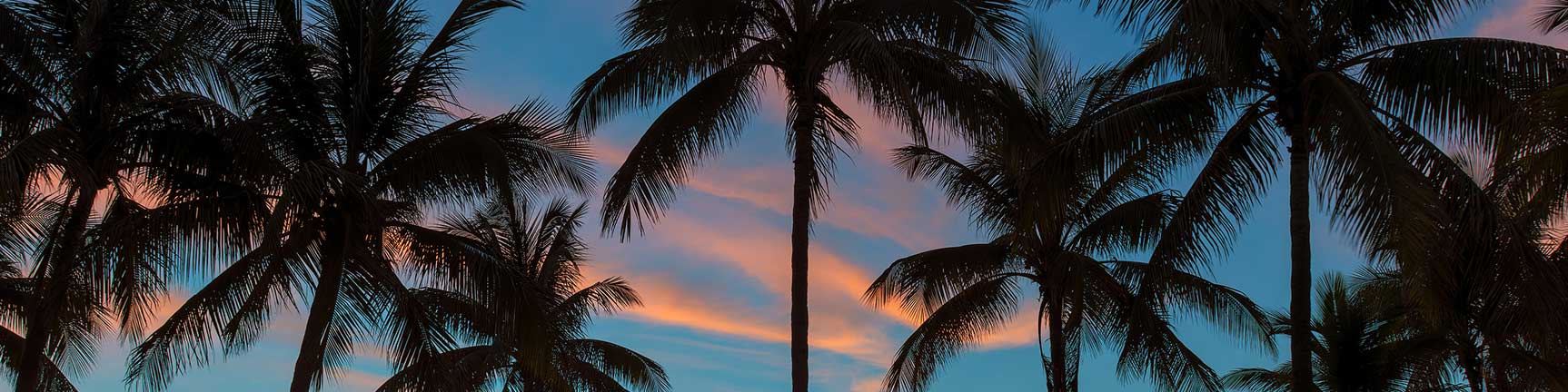 Dania Beach Property Management